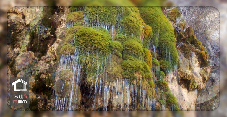 آبشار حرام او از جاذبه گردشگری رویان