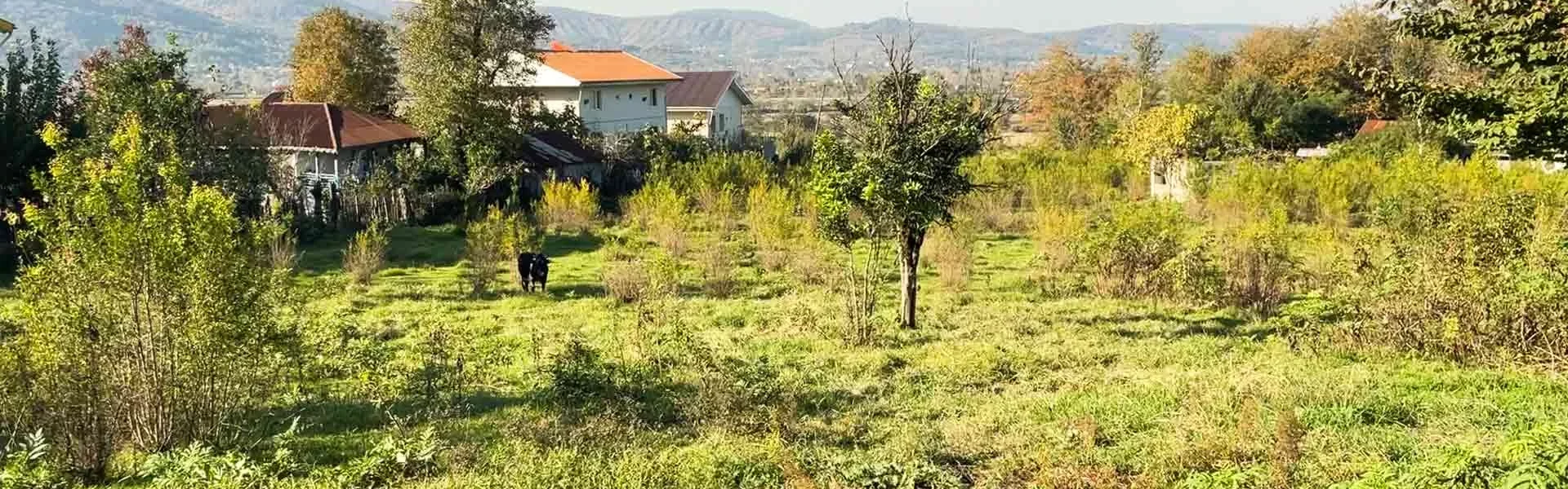 چشم انداز 10 هزار متر زمین مسکونی در کوکنه