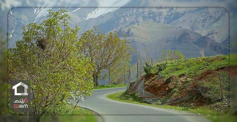زیباترین جاده‌های ایران در مسیر شمال