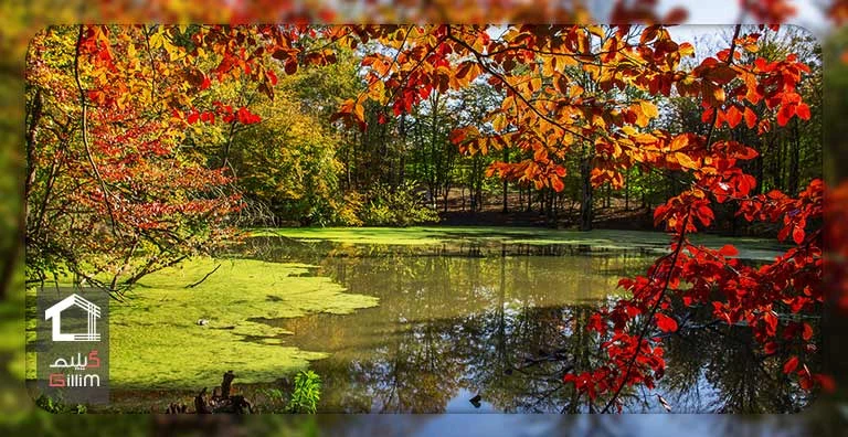 پاییز دریاچه میانشه